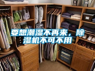 知識百科要想潮濕不再來，除濕機不可不用
