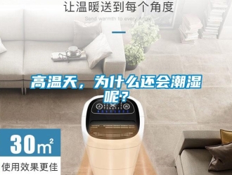 企業新聞高溫天，為什么還會潮濕呢？
