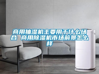 常見問題商用抽濕機主要用于什么場合 商用除濕機市場前景怎么樣