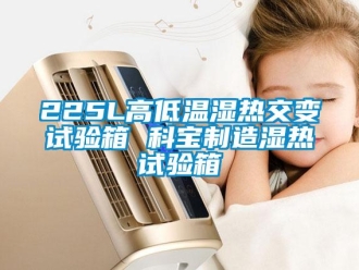常見問題225L高低溫濕熱交變試驗箱 科寶制造濕熱試驗箱