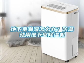行業新聞地下室潮濕怎么辦？防潮就用地下室除濕機