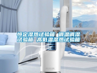 常見問題恒定濕熱試驗箱 調溫調濕試驗箱 高低溫濕熱試驗箱
