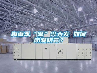 常見問題梅雨季“濕”興大發 如何防潮防霉？