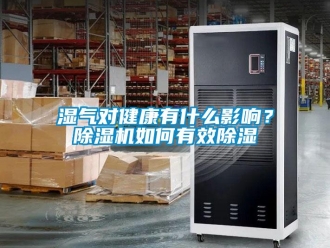 常見問題濕氣對健康有什么影響？除濕機如何有效除濕