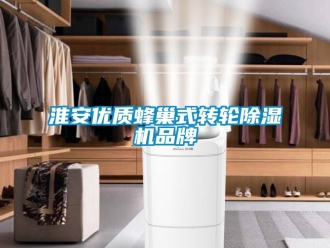 常見問題淮安優質蜂巢式轉輪除濕機品牌