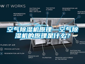 行業(yè)新聞空氣除濕機(jī)原理—空氣除濕機(jī)的原理是什么？