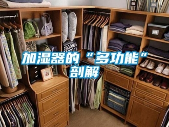 行業新聞加濕器的“多功能”剖解