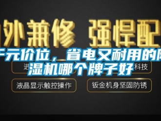 行業(yè)新聞千元價(jià)位，省電又耐用的除濕機(jī)哪個(gè)牌子好