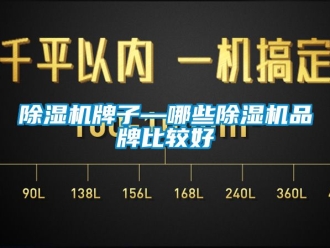 企業新聞除濕機牌子—哪些除濕機品牌比較好