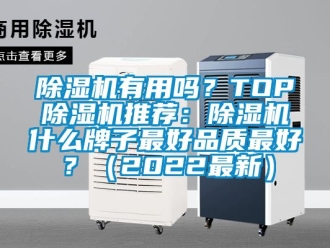行業(yè)新聞除濕機有用嗎？TOP除濕機推薦：除濕機什么牌子最好品質(zhì)最好？（2022最新）