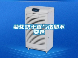行業新聞菊花烘干香氣濃郁不變色