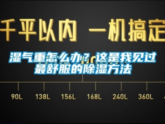 企業新聞濕氣重怎么辦？這是我見過最舒服的除濕方法