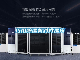 行業新聞巧用除濕機對付濕冷