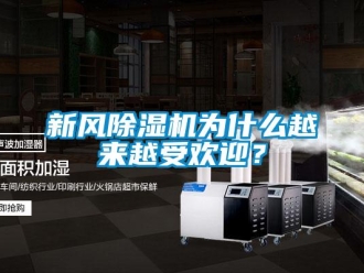 知識百科新風除濕機為什么越來越受歡迎？