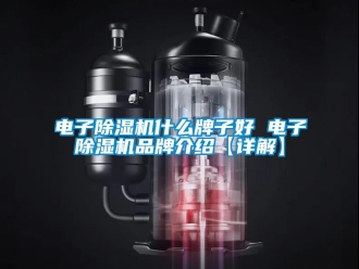 企業(yè)新聞電子除濕機什么牌子好 電子除濕機品牌介紹【詳解】