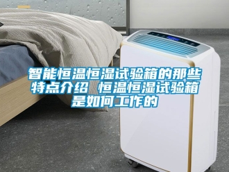 知識百科智能恒溫恒濕試驗箱的那些特點介紹 恒溫恒濕試驗箱是如何工作的