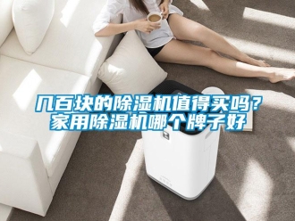 常見問題幾百塊的除濕機(jī)值得買嗎？家用除濕機(jī)哪個牌子好
