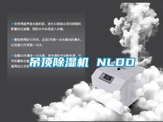 企業新聞吊頂除濕機 NLDD
