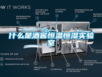 知識百科什么是酒窖恒溫恒濕實驗室