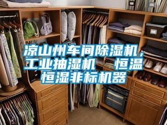 常見問題涼山州車間除濕機(jī)，工業(yè)抽濕機(jī)  恒溫恒濕非標(biāo)機(jī)器