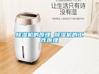 企業新聞除濕機的原理 除濕機的工作原理