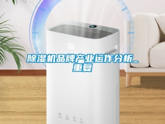 企業新聞除濕機品牌產業運作分析_重復