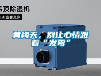 行業新聞黃梅天，別讓心情跟著“發霉”