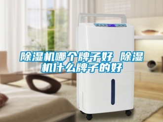 行業新聞除濕機哪個牌子好 除濕機什么牌子的好