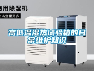 常見問題高低溫濕熱試驗箱的日常維護知識