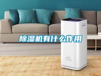 企業新聞除濕機有什么作用