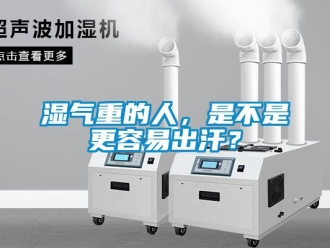 知識百科濕氣重的人，是不是更容易出汗？