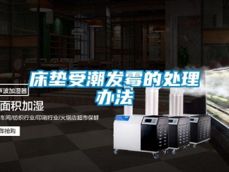 企業(yè)新聞床墊受潮發(fā)霉的處理辦法