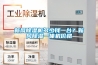 新風除濕機多少錢一臺？新風除濕一體機價格