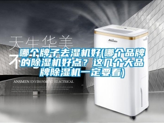 企業新聞哪個牌子去濕機好(哪個品牌的除濕機好點？這幾個大品牌除濕機一定要看)