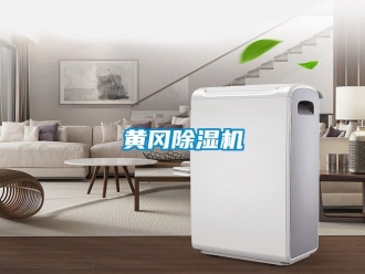 行業新聞黃岡除濕機