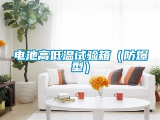 企業(yè)新聞電池高低溫試驗箱（防爆型）