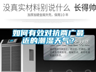 常見問題如何有效對抗兩廣最近的潮濕天氣？
