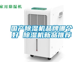 企業(yè)新聞國(guó)產(chǎn)除濕機(jī)品牌哪個(gè)好 除濕機(jī)新品推薦