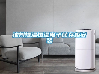 知識百科池州恒溫恒濕電子儲存柜安裝