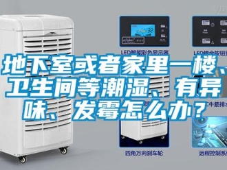 企業新聞地下室或者家里一樓、衛生間等潮濕、有異味、發霉怎么辦？