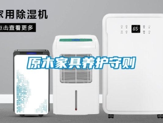 知識百科原木家具養護守則