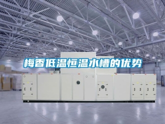 知識百科梅香低溫恒溫水槽的優勢