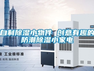 常見問題自制除濕小物件 創(chuàng)意有趣的防潮除濕小家電
