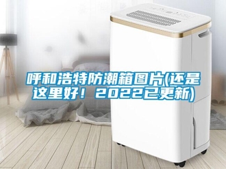 常見(jiàn)問(wèn)題呼和浩特防潮箱圖片(還是這里好！2022已更新)
