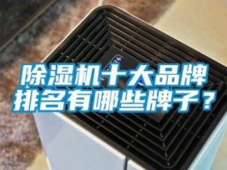 企業新聞除濕機十大品牌排名有哪些牌子？