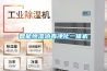 智能恒濕消毒凈化一體機