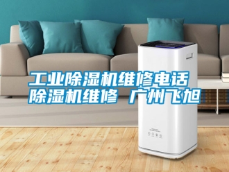 常見問題工業除濕機維修電話 除濕機維修 廣州飛旭