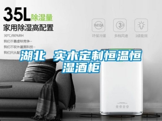 知識(shí)百科湖北 實(shí)木定制恒溫恒濕酒柜
