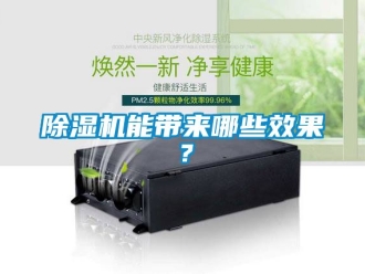 行業新聞除濕機能帶來哪些效果？