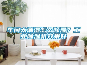 常見問題車間太潮濕怎么除濕？工業(yè)除濕機(jī)效果好